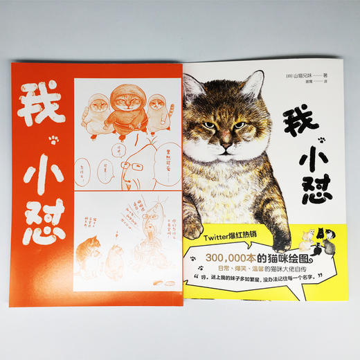 (仓发) 我，小怼/北京时代华文书局/[日]，山猫兄妹/9787569932997 商品图1