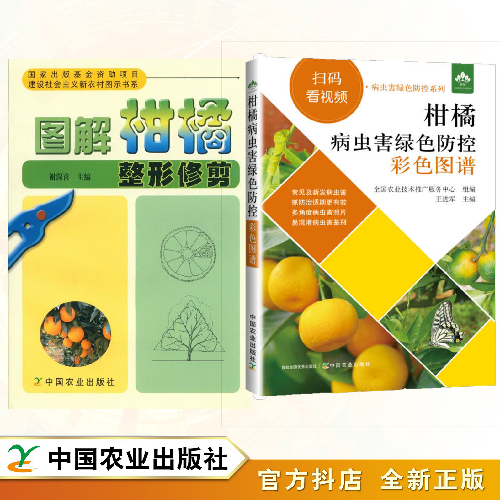 【柑橘经典2本套】柑橘栽培技术管理 柑橘整形修剪+病虫害诊治