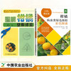 【柑橘经典2本套】柑橘栽培技术管理 柑橘整形修剪+病虫害诊治 商品缩略图0