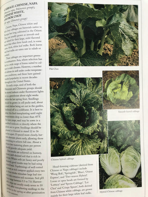 美国园林之书 数千幅插图 精装16开 商品图13