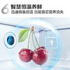 TCL406升十字对开门智能语音 360°生态养鲜冰箱R406P12-UI 商品缩略图6