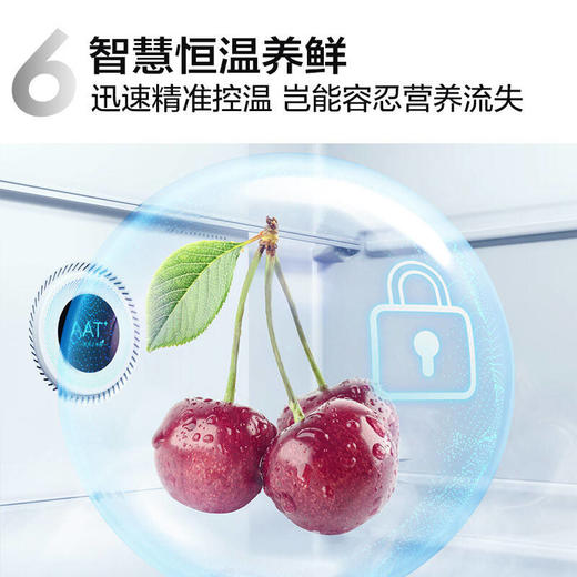 TCL406升十字对开门智能语音 360°生态养鲜冰箱R406P12-UI 商品图6