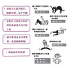 【心如健推荐】10秒钟拉伸训练法治疗驼背！ 商品缩略图1