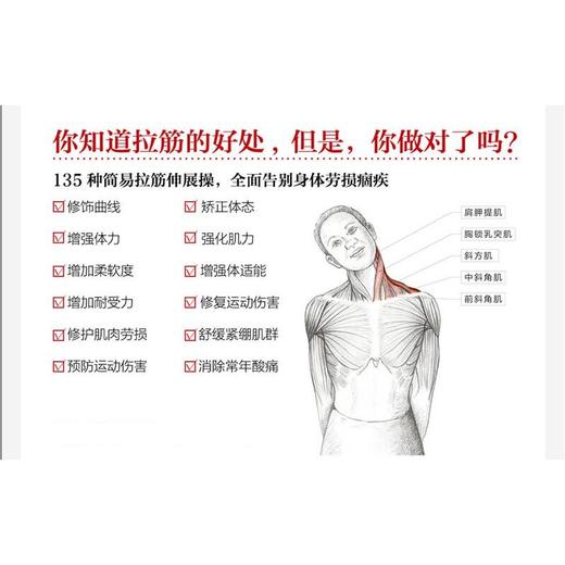 【心如健推荐】酸痛拉筋解剖书： 你的私人拉筋保健指南、拉筋与肌*解剖学相结合的专业图解书 商品图2