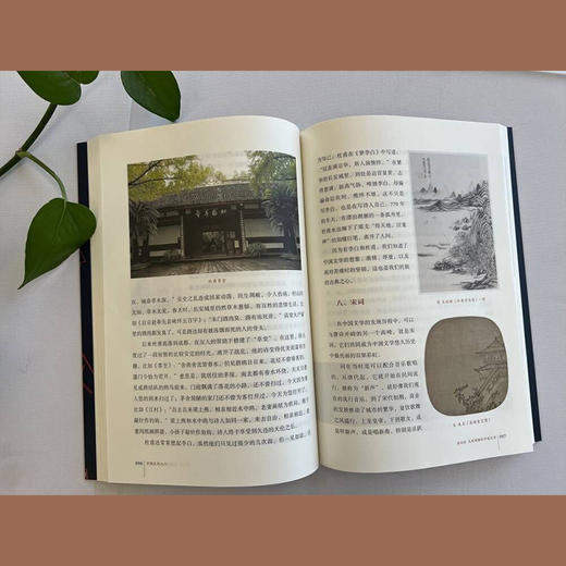 中国文化入门 商品图5