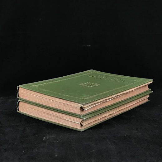 1910年 基尔顿自然图集（全2卷） 数百幅插图 漆布精装大16开 商品图1