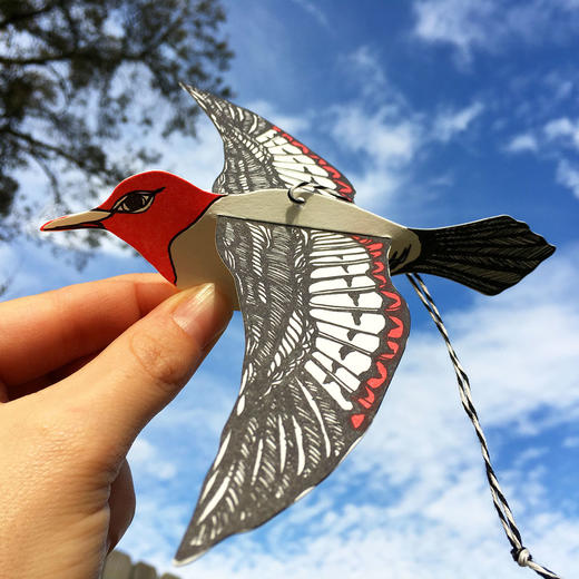 北京仓｜BlackBird LetterPress-Woodpecker-红面使者 立体贺卡［美国设计师］ 商品图5