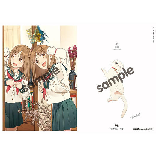 猫与我 日本株式会社GOT 著 动漫 商品图2