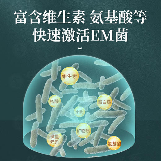 华畜菌种培养基500g 营养均衡扩繁快 商品图2