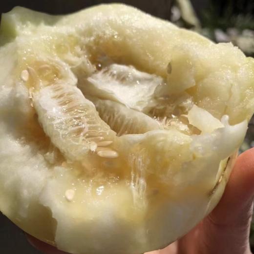 山东蜜罐小甜瓜、肉脆瓤蜜、嘎嘣脆、贼拉脆甜、香味浓郁 商品图4