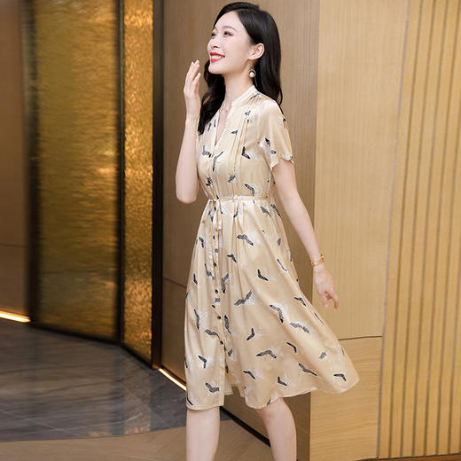 ASE-2381   印花V领时尚女式连衣裙 商品图2