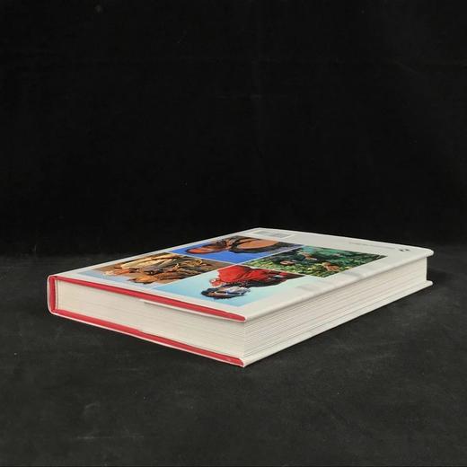 现代探险家 268幅插图 精装16开 商品图2