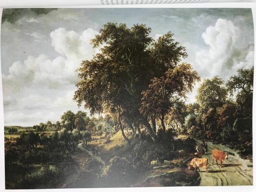 荷兰绘画图集 近百幅插图 精装大16开 商品图8