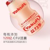养乐多活菌型乳酸菌乳饮品（100x5） 商品缩略图4