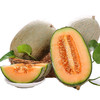 【时令】海南哈密瓜 当季新鲜水果 带箱5斤装 商品缩略图7