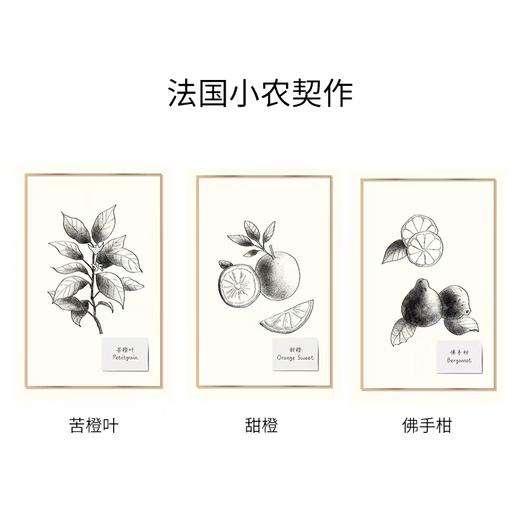 艾薇丹柑橘系欢愉复方精油 商品图1