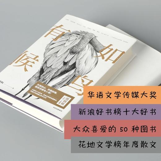 有如候鸟+幻兽之吻+巨鲸歌唱（套装3册）周晓枫著 世相与人情 中信出版 商品图2