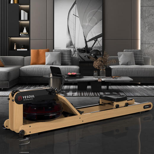 野小兽R40划船机智能训练科学健身居家使用好物 商品图1