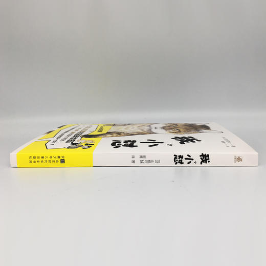 (仓发) 我，小怼/北京时代华文书局/[日]，山猫兄妹/9787569932997 商品图2