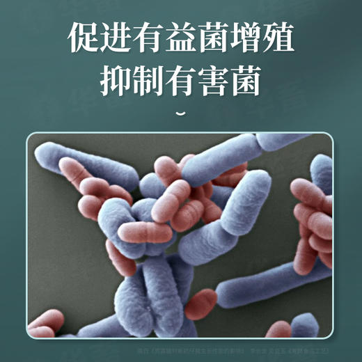 华畜菌种培养基500g 营养均衡扩繁快 商品图3