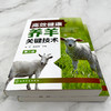 高效健康养羊关键技术（第二版） 商品缩略图6