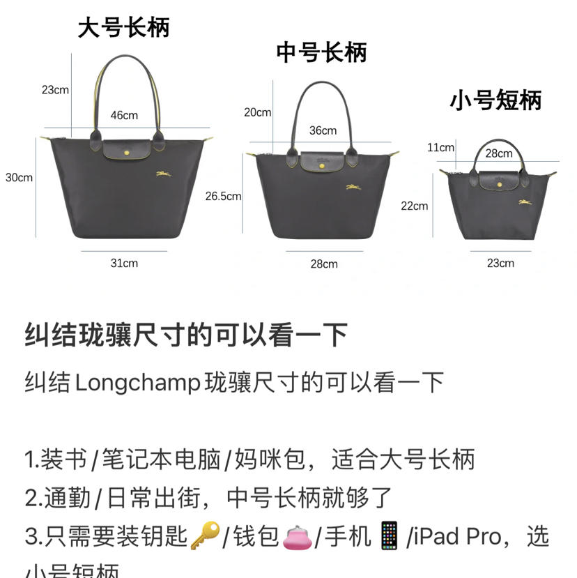 特价韩免现货 法国longchamp龙骧包70周年 长柄中号/大号单肩 枪灰色