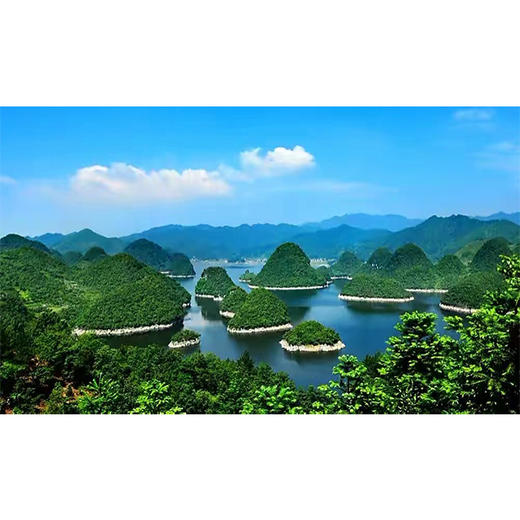 直升机观光游览票（定金） 商品图2