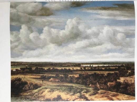 荷兰绘画图集 近百幅插图 精装大16开 商品图14