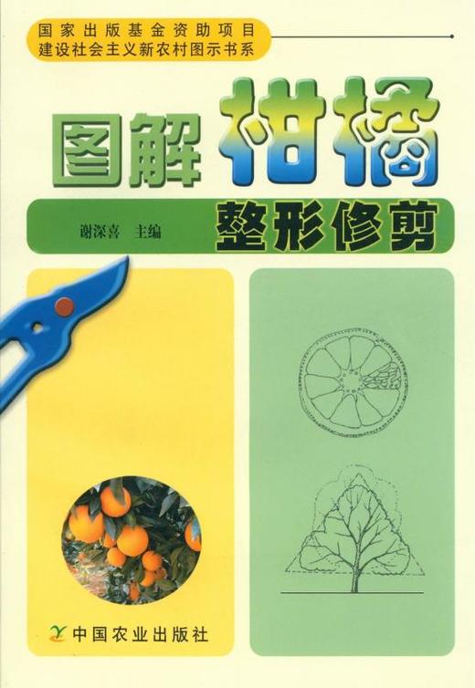 图说柑橘整形修剪 商品图1