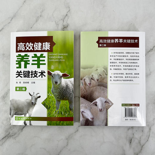 高效健康养羊关键技术（第二版） 商品图1
