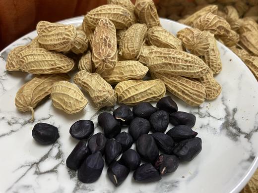 云南干黑花生、七彩花生、 颗粒饱满 香甜， 满88包邮 商品图0