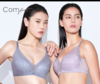 【轻柔杯】安莉芳旗下Comfit无钢圈文胸薄收副乳美背内衣CB00107 商品缩略图0