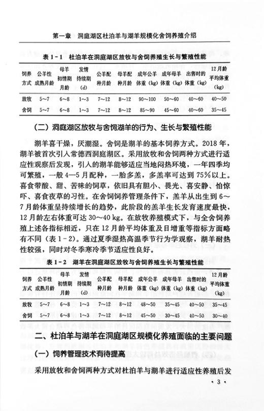 【官方正版】杜泊羊与湖羊规模化生态健康养殖技术 9787109288584 杜泊羊 湖羊 规模养殖 杜泊羊 湖羊生态养殖 养殖技术 商品图3