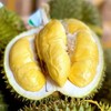 泰国托曼尼巴掌榴莲 猫山王巴掌榴莲 商品缩略图1
