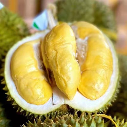 泰国托曼尼巴掌榴莲 猫山王巴掌榴莲 商品图1