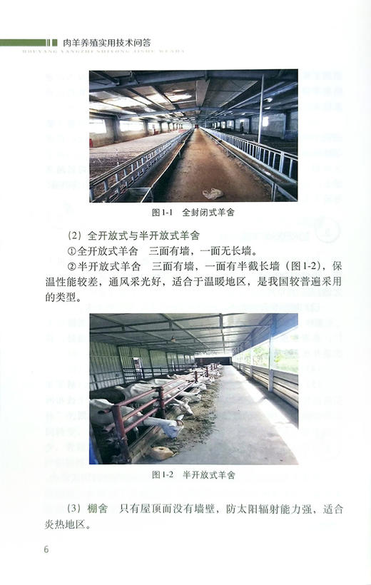 【官方正版】肉羊养殖实用技术问答 9787109287211 肉羊养殖 实用技术 问答 养殖技术 技术问答 肉羊 养殖科技 山羊 羊 绵羊 商品图4