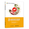 【中国农业出版社官方正版】羊屠宰操作指南 ISBN9787109262447 羊屠宰 羊 屠宰 商品缩略图0