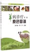 兽医临床诊疗宝典:羊病诊疗原色图谱(第二版) 商品缩略图0