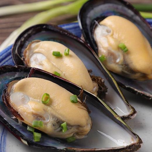 【鲜活】海虹     【送货路上不保全活】 商品图2