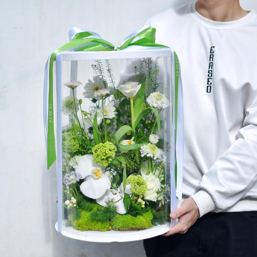 《绿野仙踪》-520情人节透视礼盒 商品图0