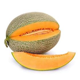 【GYZYD】哈密瓜 500g/份