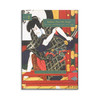 Kabuki Plays on Stage: Villainy and Vengeance  1773-1799 (Volume 2)丨舞台上的歌舞伎：邪恶与复仇，1773-1799（第二卷） 商品缩略图0