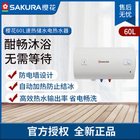 樱花电热水器SEH-60M201A