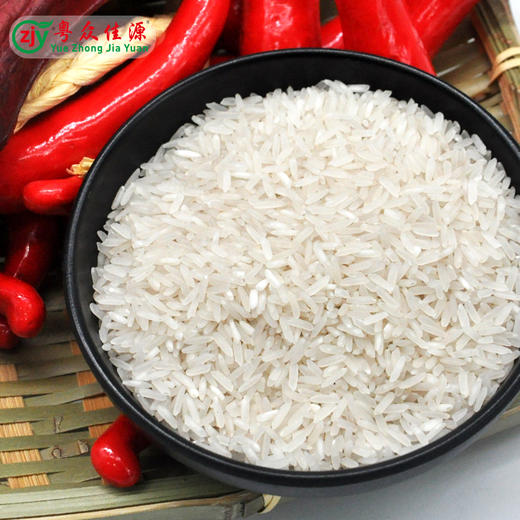 连州粤众佳源五星丝苗米真空袋装5KG大米 商品图2