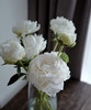 【情有独钟】芍药 -奶油碗  白色 5枝/扎 商品缩略图9