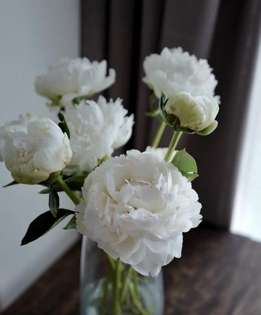 【情有独钟】芍药 -奶油碗  白色 5枝/扎 商品图9