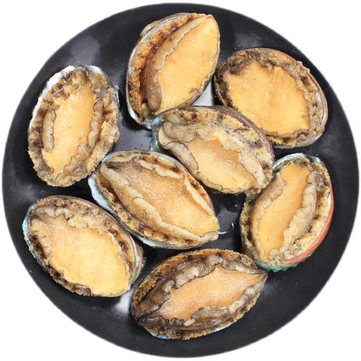 大号鲍鱼    商品图0