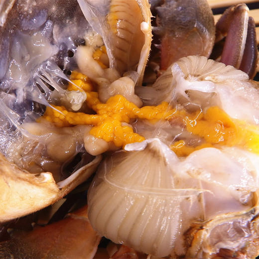 花盖蟹 1斤11只上下（活鲜送货路上不保活） 商品图1