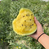阔江小凤西瓜 商品缩略图7