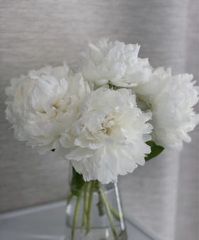 【情有独钟】芍药 -奶油碗  白色 5枝/扎